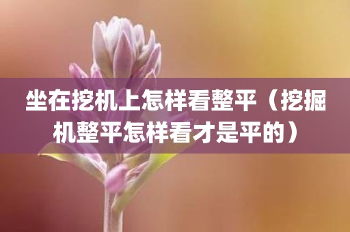 坐在挖机上怎样看整平（挖掘机整平怎样看才是平的）