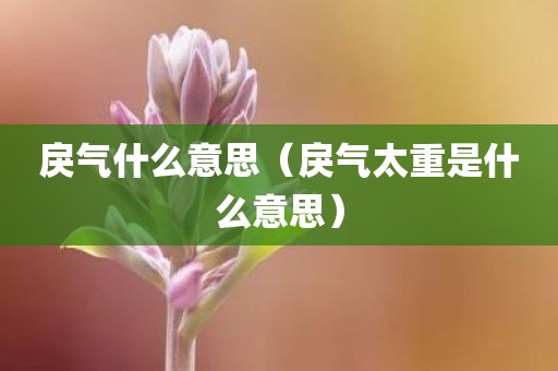 戾气什么意思（戾气太重是什么意思）