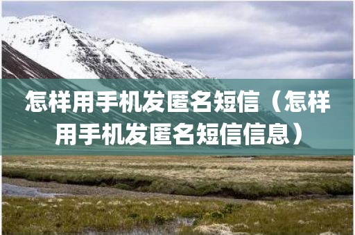 怎样用手机发匿名短信（怎样用手机发匿名短信信息）