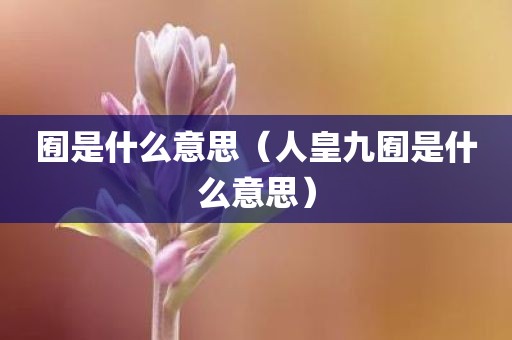 囿是什么意思（人皇九囿是什么意思）