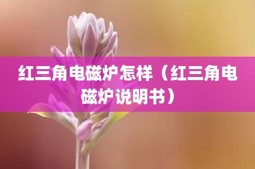 红三角电磁炉怎样（红三角电磁炉说明书）
