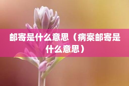 邮寄是什么意思（病案邮寄是什么意思）