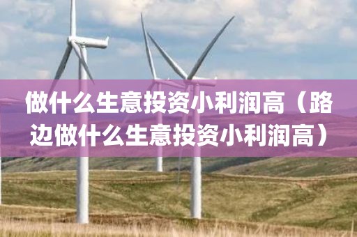 做什么生意投资小利润高（路边做什么生意投资小利润高）