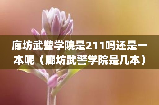廊坊武警学院是211吗还是一本呢（廊坊武警学院是几本）