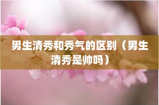 男生清秀和秀气的区别（男生清秀是帅吗）