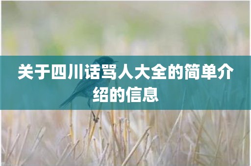 关于四川话骂人大全的简单介绍的信息