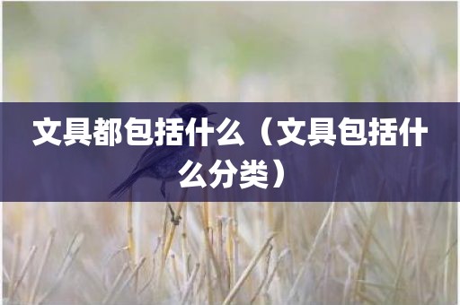 文具都包括什么（文具包括什么分类）