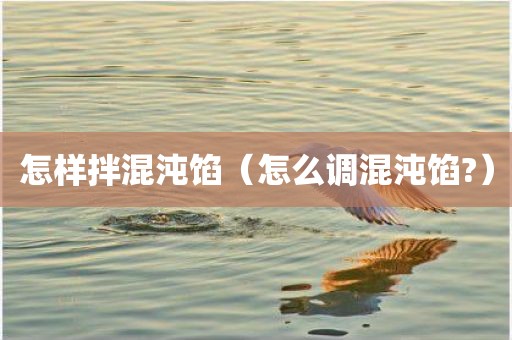 怎样拌混沌馅（怎么调混沌馅?）