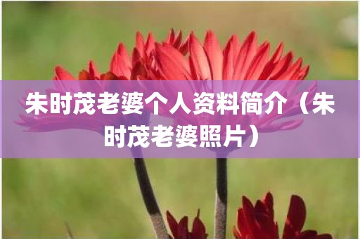朱时茂老婆个人资料简介（朱时茂老婆照片）