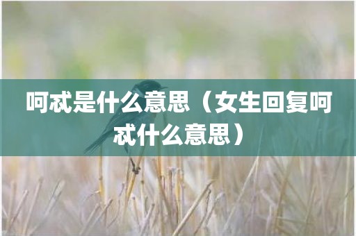 呵忒是什么意思（女生回复呵忒什么意思）