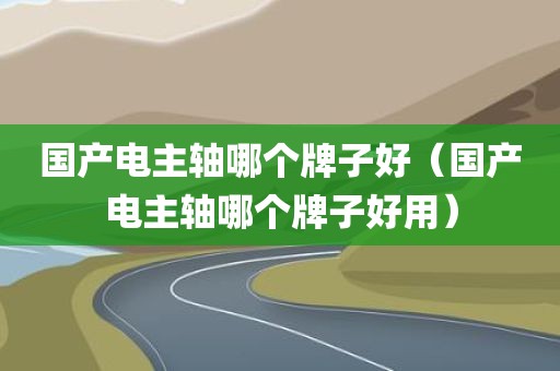 国产电主轴哪个牌子好（国产电主轴哪个牌子好用）