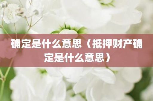 确定是什么意思（抵押财产确定是什么意思）
