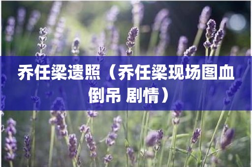 乔任梁遗照（乔任梁现场图血 倒吊 剧情）