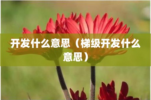 开发什么意思（梯级开发什么意思）