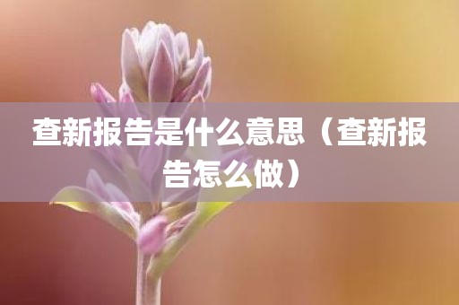 查新报告是什么意思（查新报告怎么做）