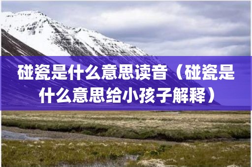 碰瓷是什么意思读音（碰瓷是什么意思给小孩子解释）