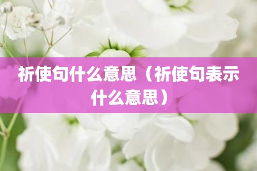 祈使句什么意思（祈使句表示什么意思）