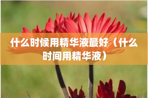 什么时候用精华液最好（什么时间用精华液）