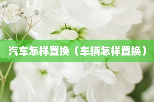 汽车怎样置换（车辆怎样置换）