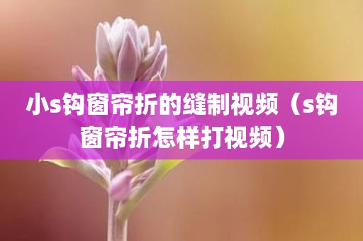 小s钩窗帘折的缝制视频(s钩窗帘折怎样打视频)