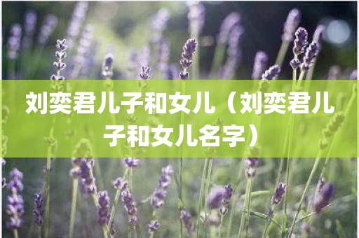 刘奕君儿子和女儿（刘奕君儿子和女儿名字）