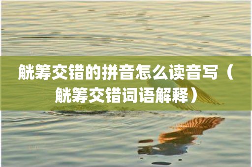 觥筹交错的拼音怎么读音写(觥筹交错词语解释)