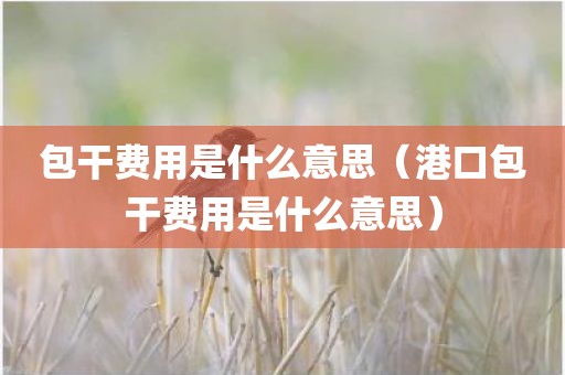 包干费用是什么意思（港口包干费用是什么意思）