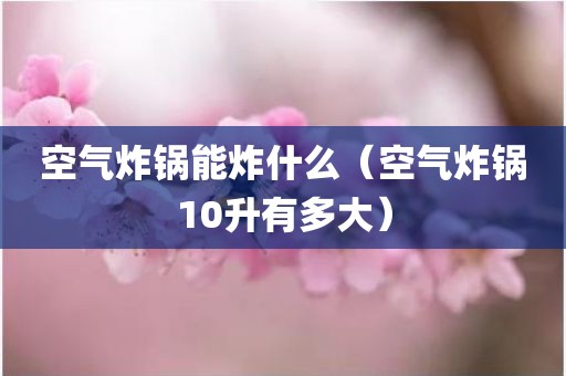 空气炸锅能炸什么(空气炸锅10升有多大) 空气炸锅能炸什么(空气炸锅10升有多大)