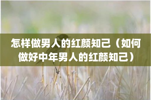 怎样做男人的红颜知己（如何做好中年男人的红颜知己）