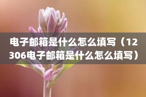 电子邮箱是什么怎么填写（12306电子邮箱是什么怎么填写）
