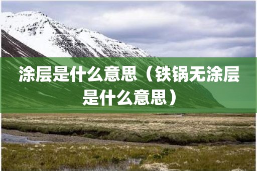 涂层是什么意思（铁锅无涂层是什么意思）