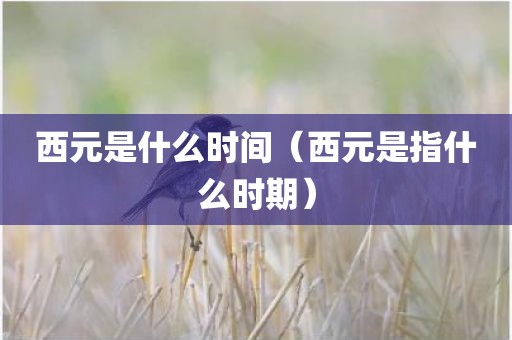 西元是什么时间（西元是指什么时期）