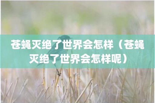 苍蝇灭绝了世界会怎样（苍蝇灭绝了世界会怎样呢）