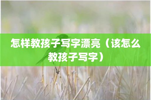 怎样教孩子写字漂亮（该怎么教孩子写字）