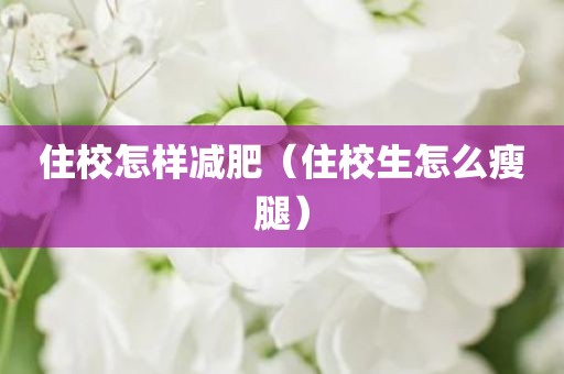 住校怎样减肥（住校生怎么瘦腿）