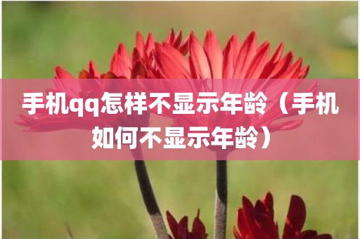 手机qq怎样不显示年龄（手机如何不显示年龄）