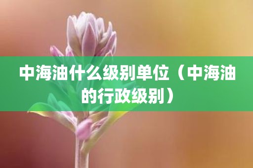 中海油什么级别单位（中海油的行政级别）
