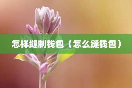 怎样缝制钱包（怎么缝钱包）
