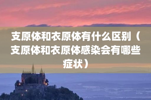 支原体和衣原体有什么区别（支原体和衣原体感染会有哪些症状）