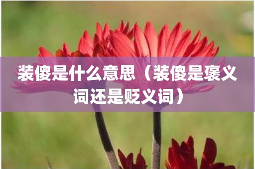 装傻是什么意思（装傻是褒义词还是贬义词）