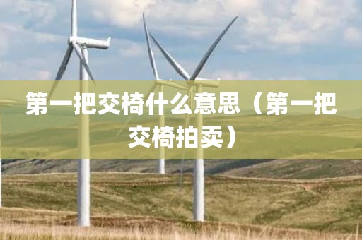 第一把交椅什么意思（第一把交椅拍卖）