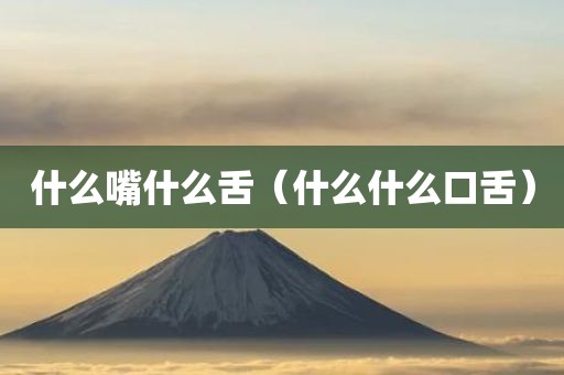 什么嘴什么舌（什么什么口舌）