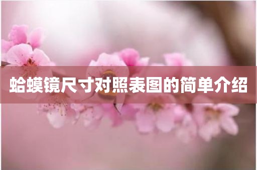 蛤蟆镜尺寸对照表图的简单介绍