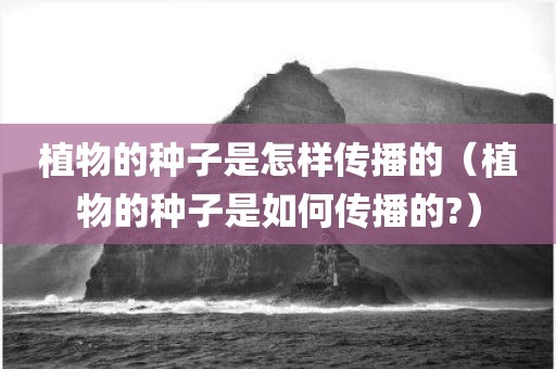 植物的种子是怎样传播的（植物的种子是如何传播的?）