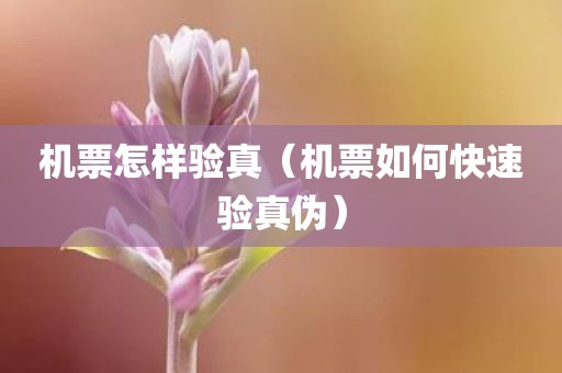 机票怎样验真（机票如何快速验真伪）