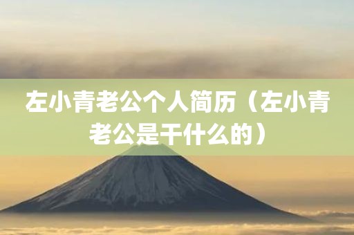 左小青老公个人简历(左小青老公是干什么的) 左小青老公个人简历(左小青老公是干什么的)