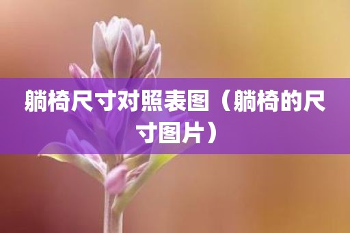 躺椅尺寸对照表图（躺椅的尺寸图片）
