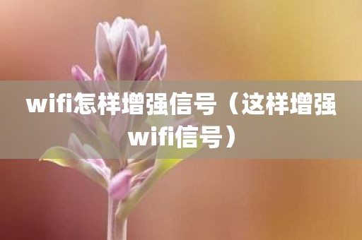 wifi怎样增强信号（这样增强wifi信号）