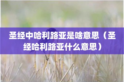 圣经中哈利路亚是啥意思（圣经哈利路亚什么意思）