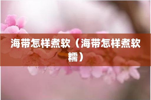 海带怎样煮软（海带怎样煮软糯）